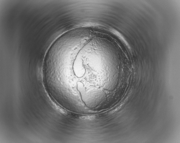 X0000073490810200608140840