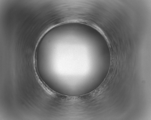 X0000073490811200608140840