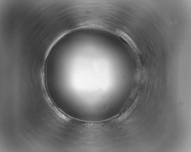 X0000073490812200608140840