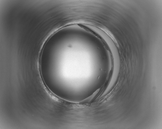 X0000073490813200608140840