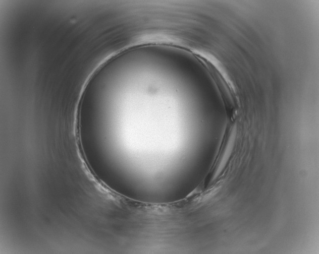 X0000073490815200608140840