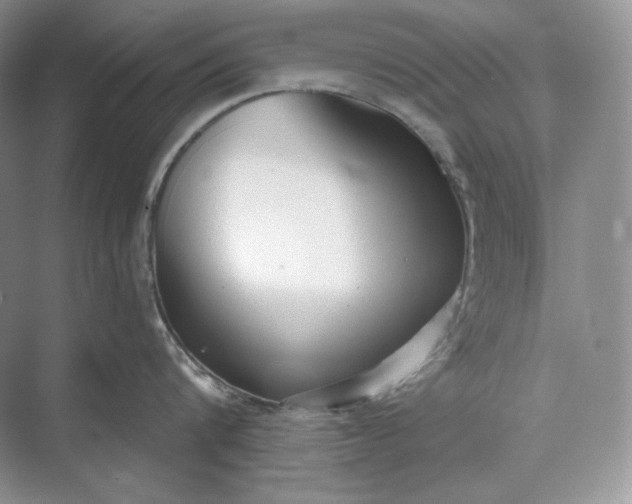 X0000073490816200608140840