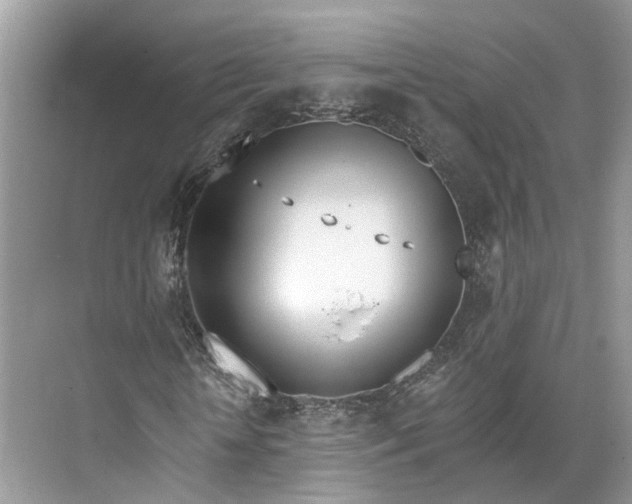 X0000073490818200608140840