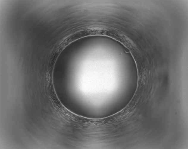 X0000073490821200608140840