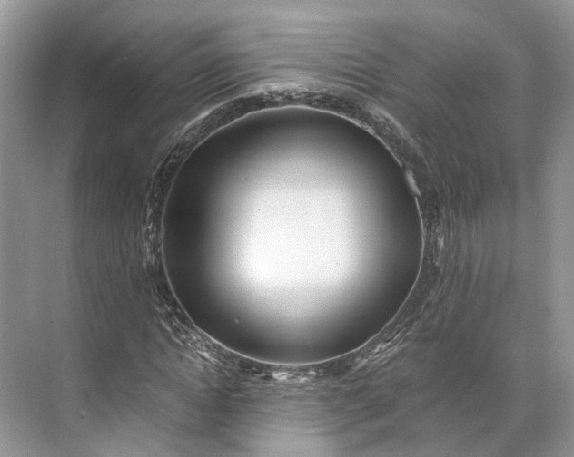 X0000073490822200608140840