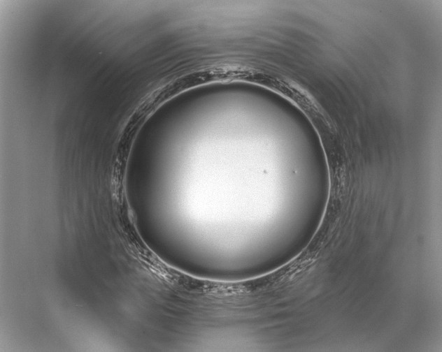 X0000073490823200608140840