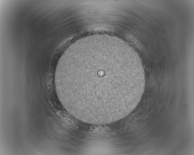 X0000073490824200608140840