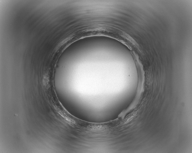 X0000073490826200608140840