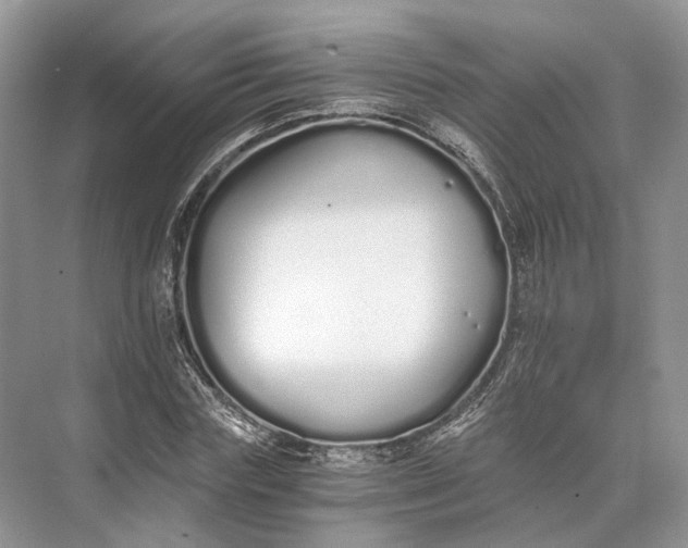 X0000073490827200608140840