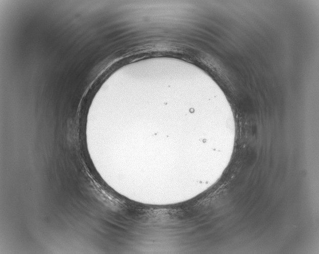 X0000073490828200608140840