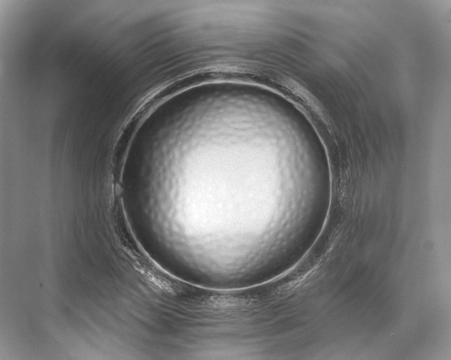 X0000073490829200608140840