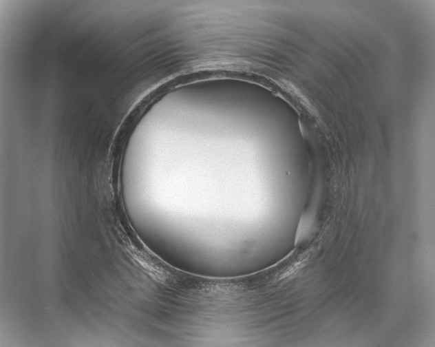 X0000073490830200608140840