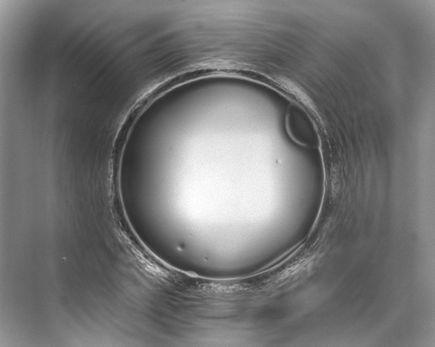 X0000073490831200608140840