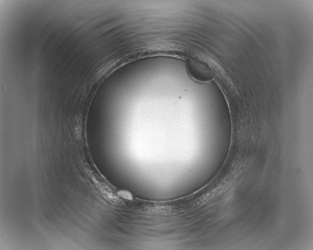 X0000073490833200608140840