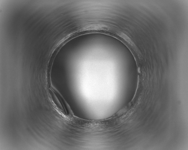 X0000073490834200608140840