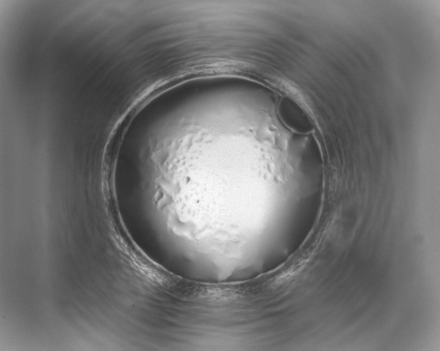 X0000073490835200608140840