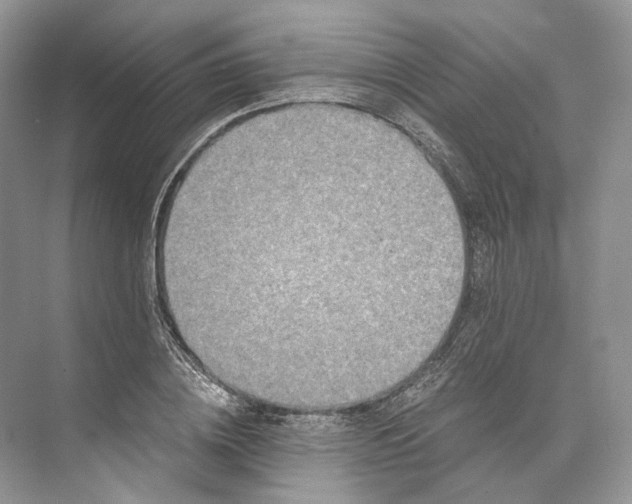 X0000073490836200608140840