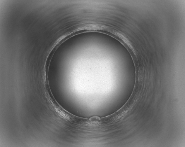 X0000073490837200608140840