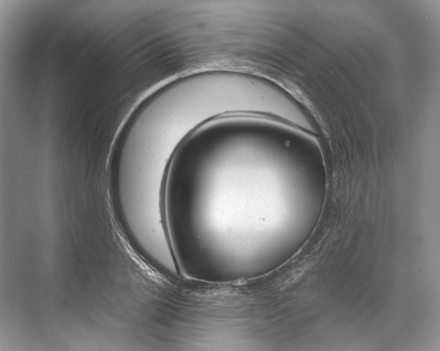 X0000073490838200608140840