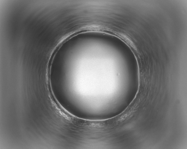 X0000073490839200608140840