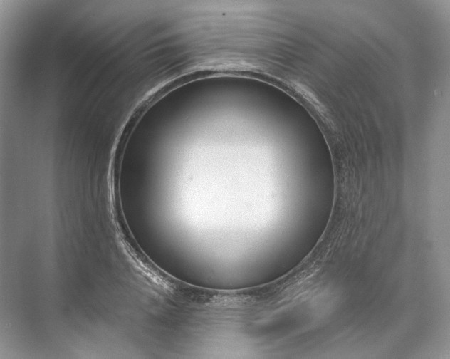 X0000073490840200608140840