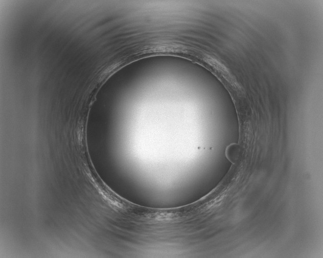 X0000073490841200608140840