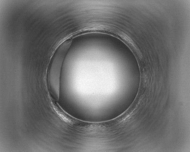 X0000073490842200608140840