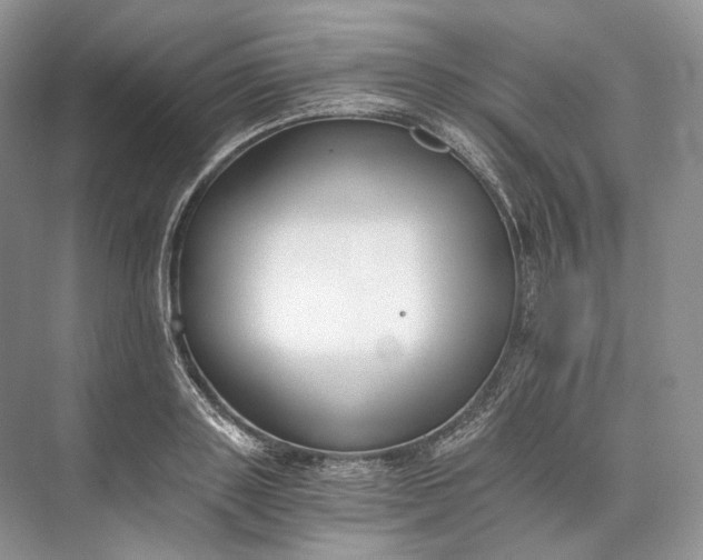 X0000073490843200608140840