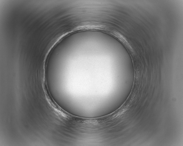 X0000073490844200608140840