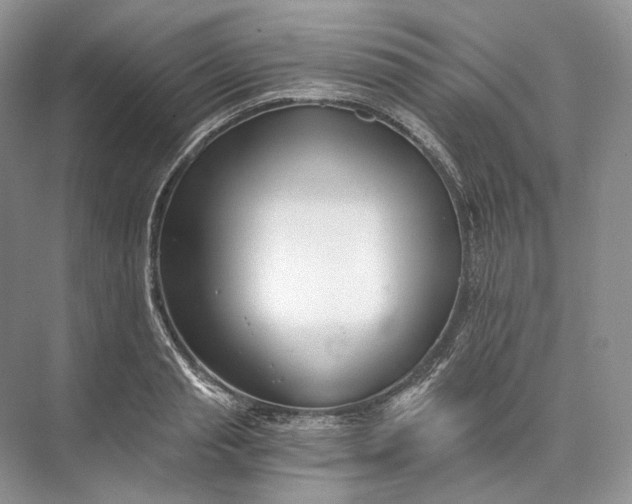 X0000073490845200608140840