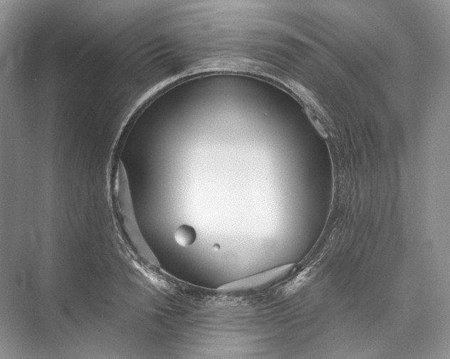 X0000073490846200608140840