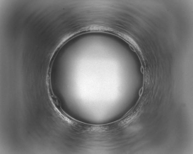 X0000073490847200608140840