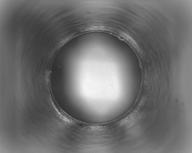 X0000073490849200608140840