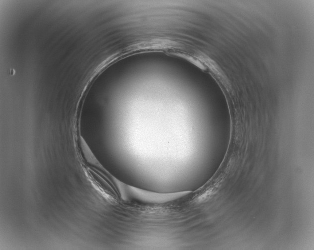 X0000073490850200608140840