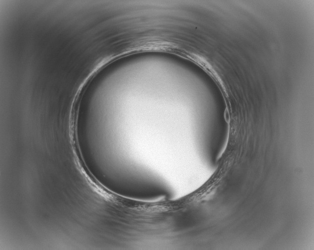 X0000073490851200608140840