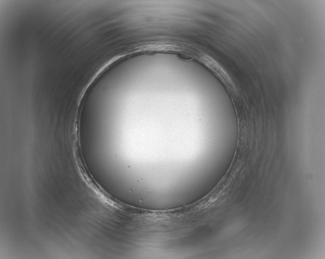 X0000073490852200608140840