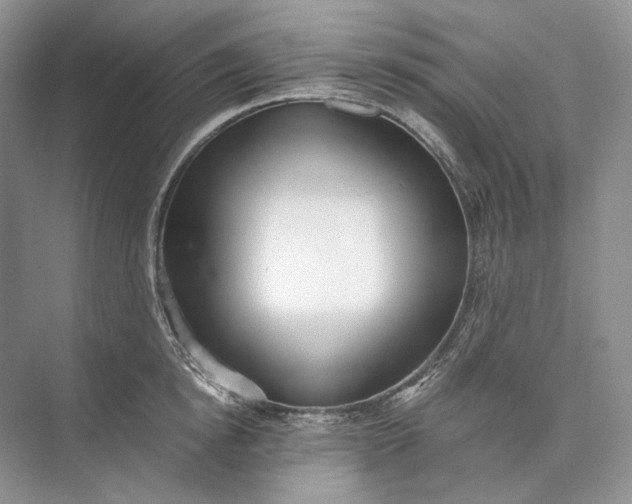 X0000073490854200608140840