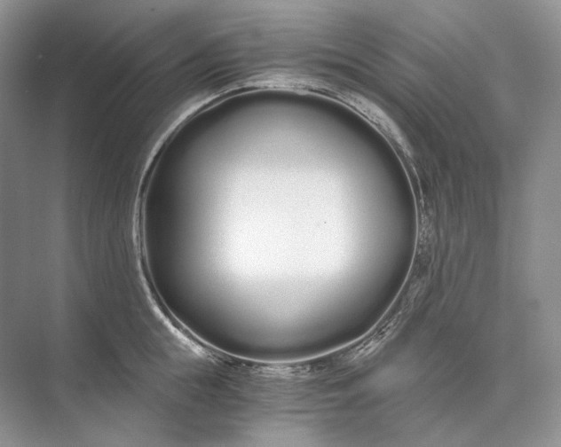 X0000073490855200608140840