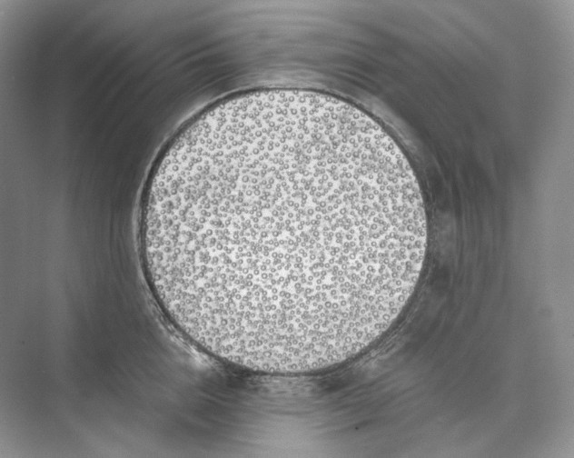 X0000073490856200608140840