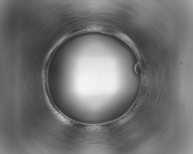 X0000073490859200608140840