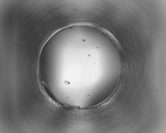 X0000073490860200608140840