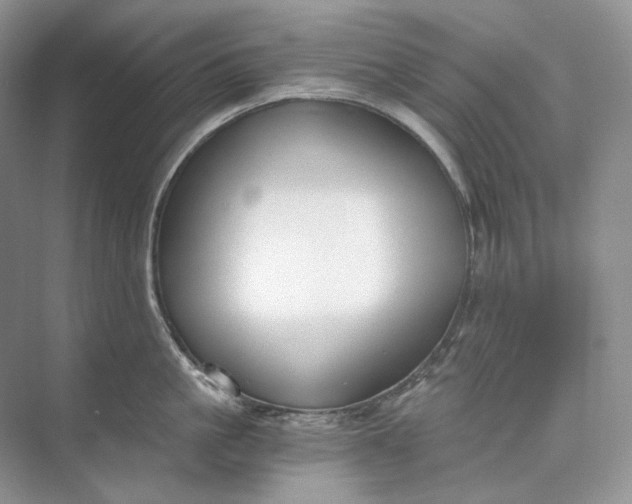 X0000073490861200608140840