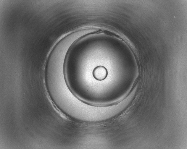 X0000073490862200608140840