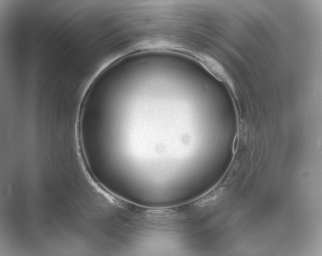 X0000073490863200608140840