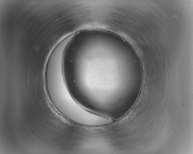 X0000073490864200608140840