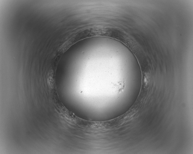 X0000073490867200608140839