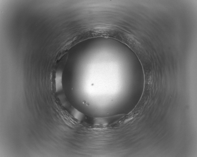 X0000073490868200608140839