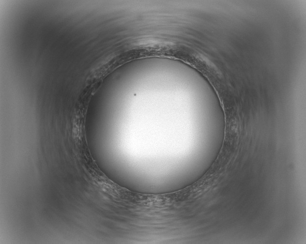 X0000073490869200608140839