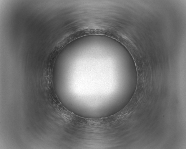 X0000073490870200608140839