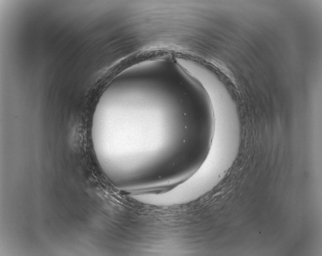 X0000073490872200608140839